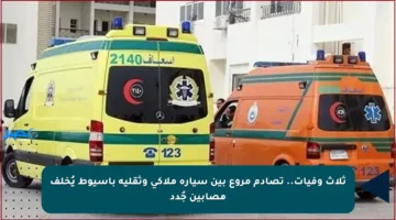 ثلاث وفيات.. تصادم مروع بين سيارة ملاكي وثقلية بأسيوط يُخلف مصابين جُدد